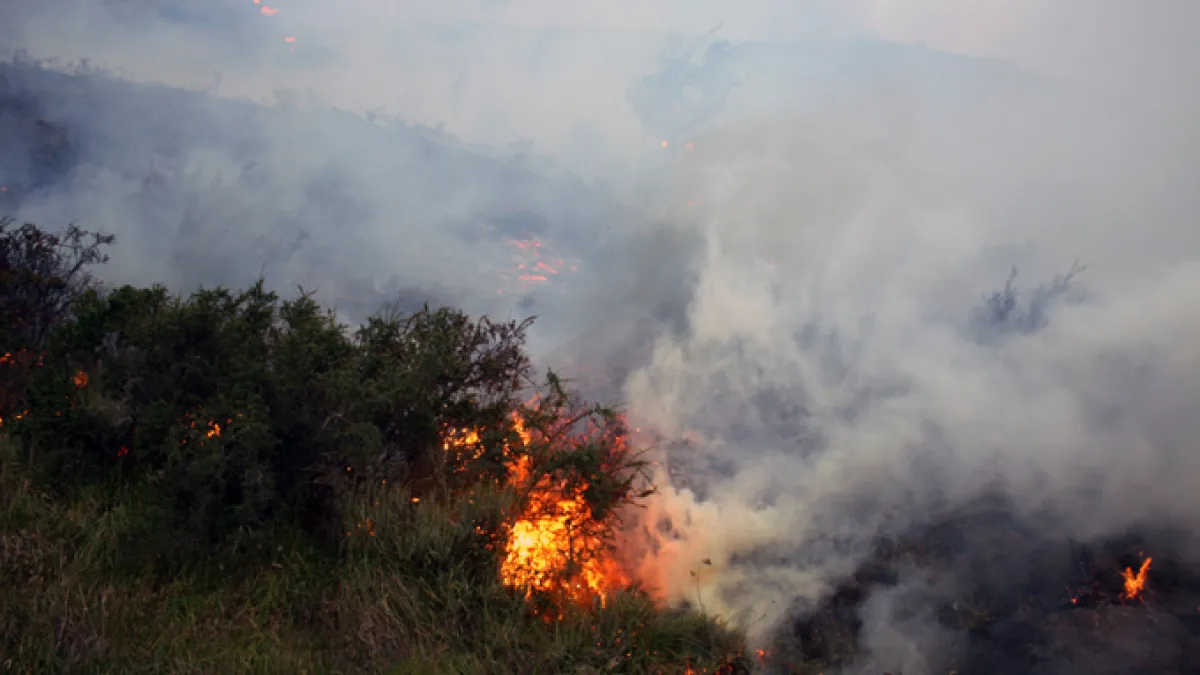Chile arrests Israeli tourist over massive Torres del Paine forest fire